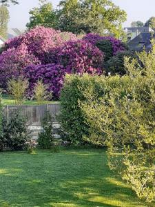 B&B / Chambre d'hôtes Manoir de l'As de Trèfle 133 Allée du Trèfle 76230 Isneauville Normandie