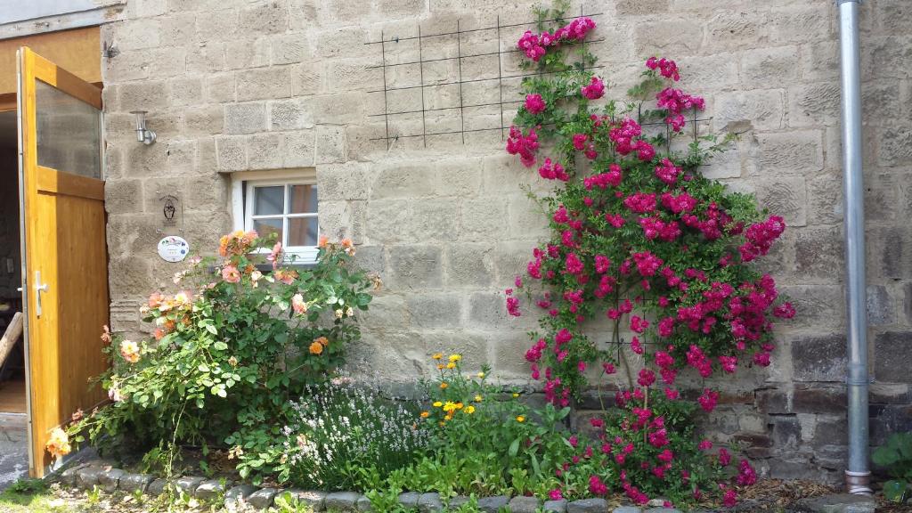 B&B / Chambre d'hôtes Marcos Heuboden Bachstrasse 40 56651 Oberzissen
