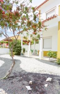Martin's Villa
