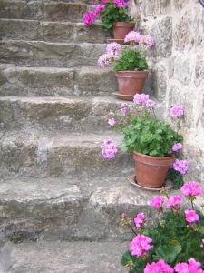 B&B / Chambre d'hôtes Mas Casta Néa Chemin des Higoux 07330 Thueyts Rhône-Alpes