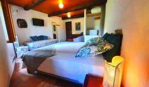 B&B / Chambre d'hôtes Mas de Boissière - Chambres d'hôtes avec piscine et jacuzzi Le Pouget 30170 Cros Languedoc-Roussillon