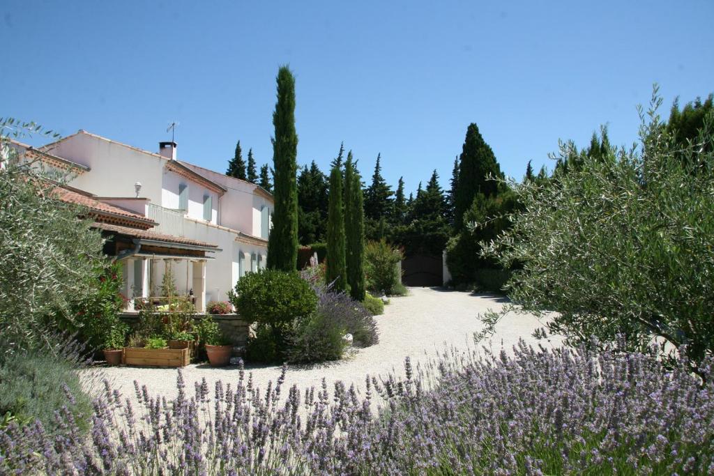 B&B / Chambre d'hôtes Mas de l'Estello B&B 171 chemin des Mattouins 13210 Saint-Rémy-de-Provence