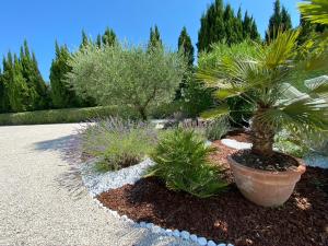 Mas de l'Estello B&B