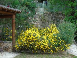 B&B / Chambre d'hôtes Mas des Citronniers 741, chemin de la Voie Romaine 06530 Le Tignet Provence-Alpes-Côte d\'Azur