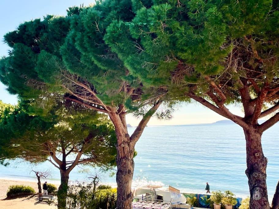 Mas du Couvin 13460 Les Saintes-Maries-de-la-Mer