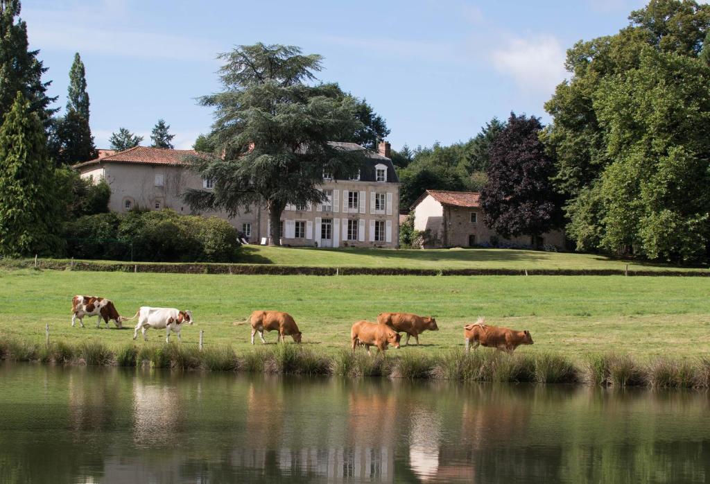 B&B / Chambre d'hôtes Masbareau, Demeure de Charme, B&B Le Masbareau 87400 Royères