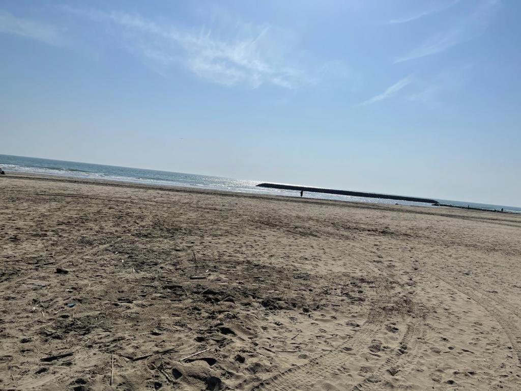 Mazet du Maréchal Ferrant 13460 Les Saintes-Maries-de-la-Mer