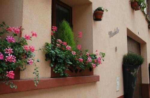 Mirabelle Bed & Breakfast