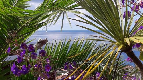 Miradouro da Papalva Guest House - Pico - Azores
