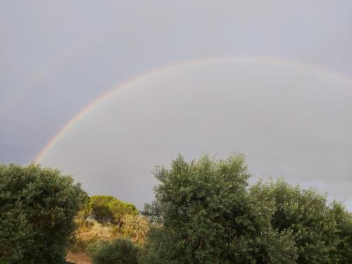 MONTE ANNA