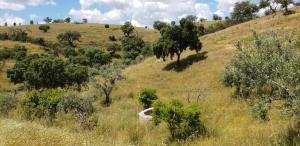 MONTE ANNA