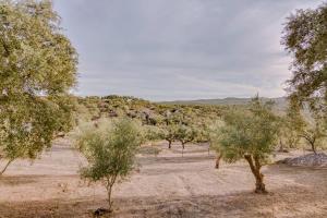 Monte da Lapa