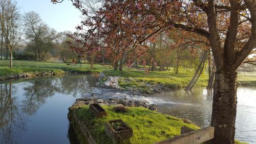 Moulin De Bacchus