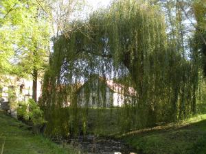 Moulin Saurele
