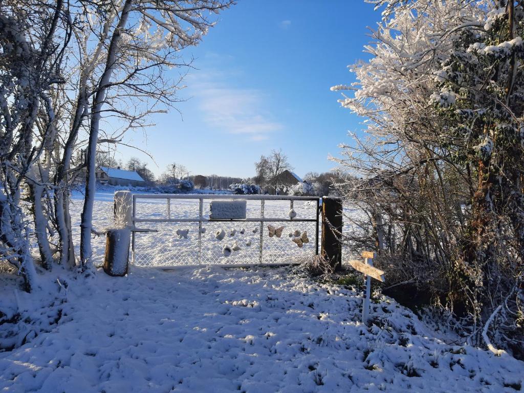 B&B / Chambre d'hôtes Notre village Papillon gite bed&breakfast Le Maury 36400 Néret