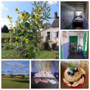 B&B / Chambre d'hôtes Notrevillage La salamandre 11 Le Maury 36400 Néret Région Centre