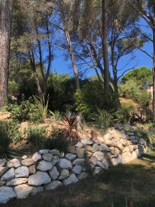 Oasis des Lavandes Coqueliot