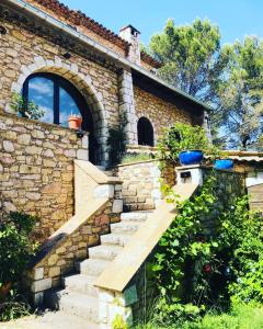 Oasis des lavandes Pine