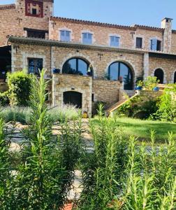 Oasis des lavandes Pine