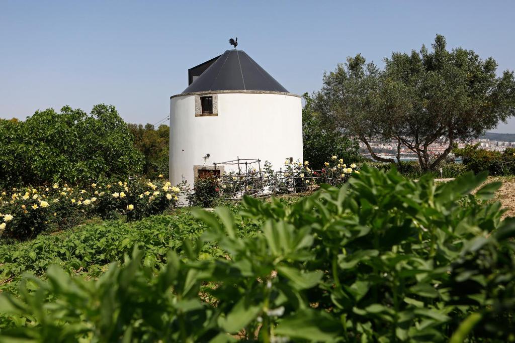 B&B / Chambre d'hôtes Olá Belém! Cozy Windmill, Stunning views to Lisboa Azinhaga dos Formozinhos nº 1 A e B 2825-109 Caparica