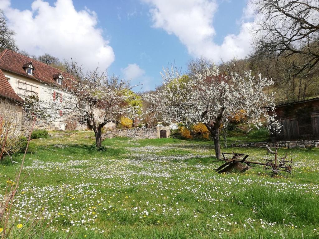 B&B / Chambre d'hôtes Oltarcie - Demeure de charme - 7 ha avec piscine Chemin de Laroquette 46320 Espagnac-Sainte-Eulalie