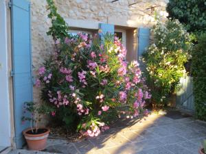 B&B / Chambre d'hôtes Oustau du Ventoux 80 Rue Simon de Chalons 84410 Bédoin Provence-Alpes-Côte d\'Azur