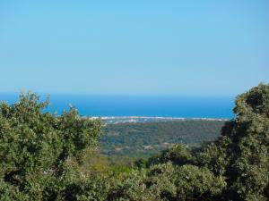 Panoramic Paradise