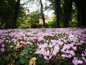 Parc de Lesseps