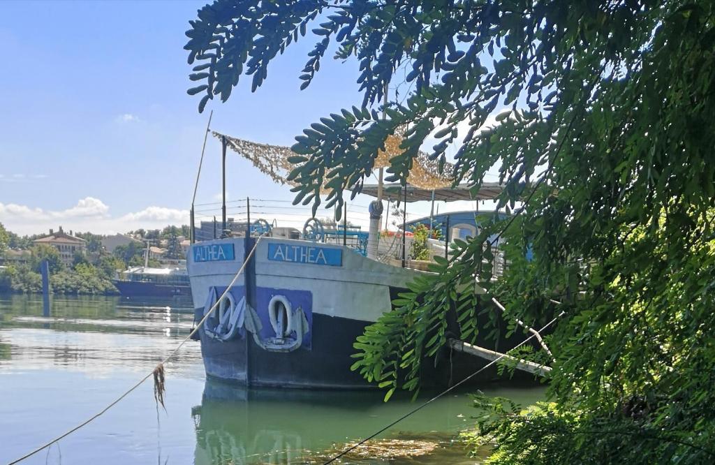 Peniche Althea Chemin de l'Ile de Piot, 84000 Avignon
