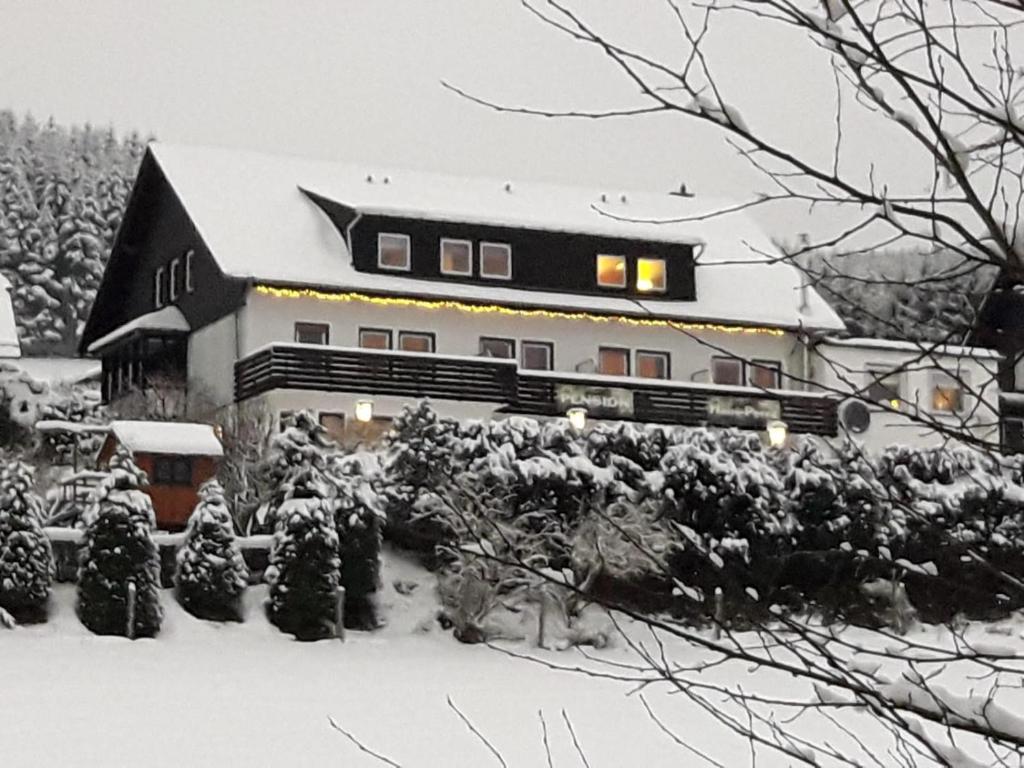 B&B / Chambre d'hôtes Pension Sauerland Hinter der Hardt 11 59955 Winterberg