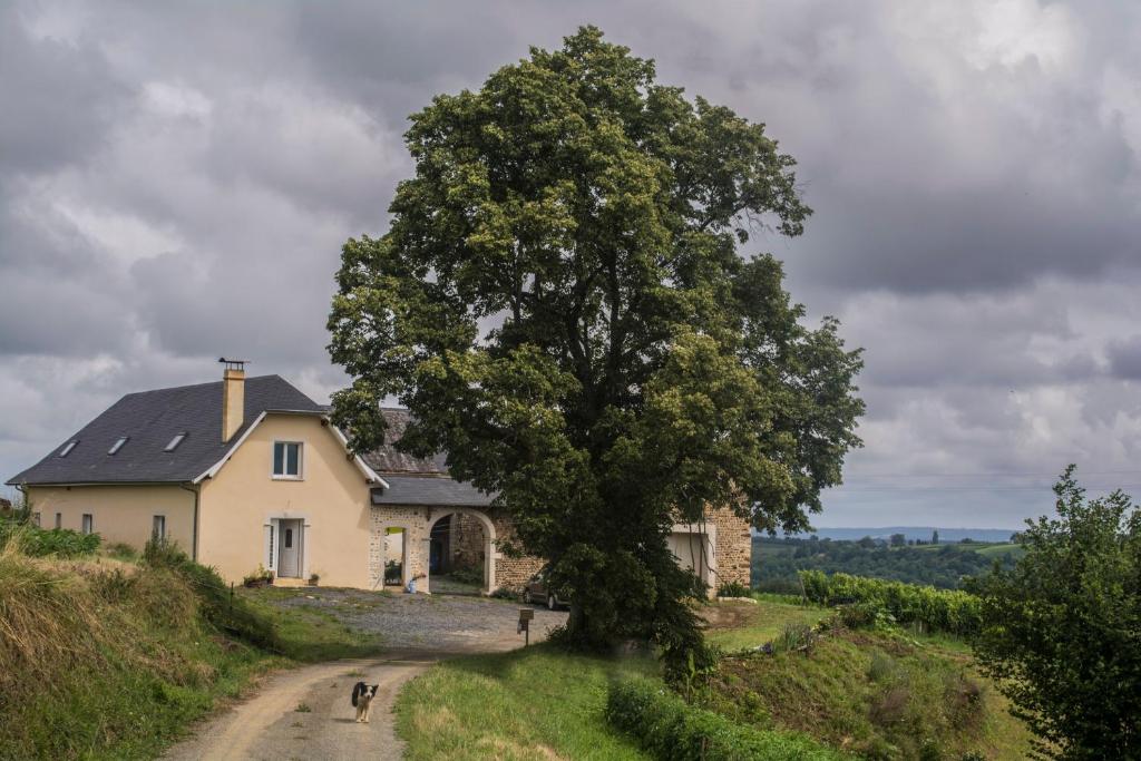 Pesaulhé QUARTIER UCHA Chemin Diuzabou, 64360 Monein