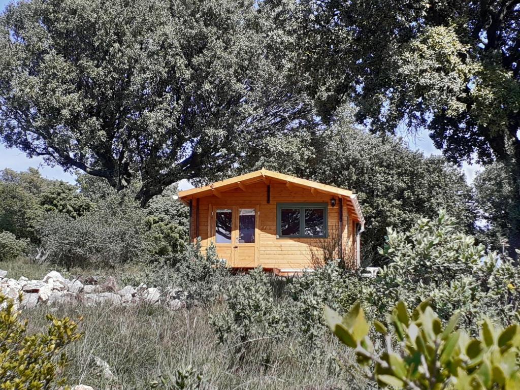 Petit coin de paradis