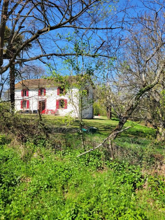 B&B / Chambre d'hôtes Petite maison dans les bois 2 Chemin de la Balène 65700 Villefranque