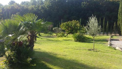 Provence
