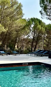 Provence mon amour