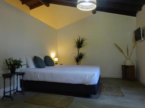 Quinta da Galeana Dreaming