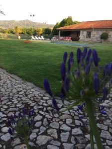 Quinta da Vinha Morta