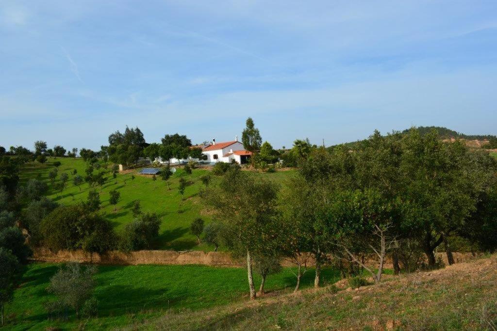 Quinta Do Grilo Quinta Do Grilo 9001, 7630-513 Amoreiras