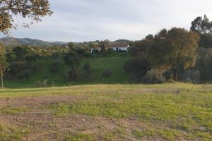 Quinta Do Grilo