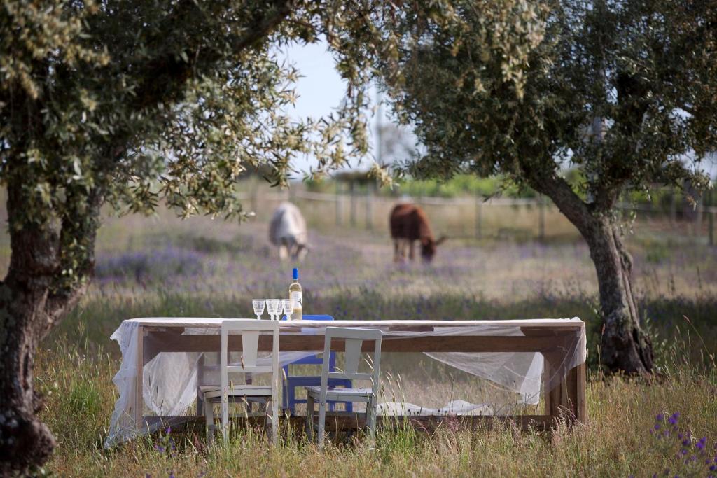 Quinta dos doze Sobreiros - Quarto Sol Ferreira do Alentejo, 7900-112 Ferreira do Alentejo
