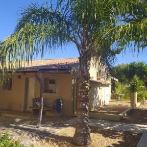 Quinta Pereiro Tropic Garden, Algarve