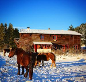 Ranch Le Serpolet