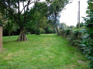 Repos sous les Arbres