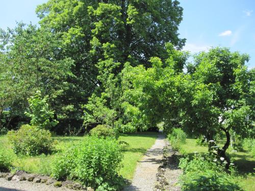 Romantic-Pension Albrecht - since 1901