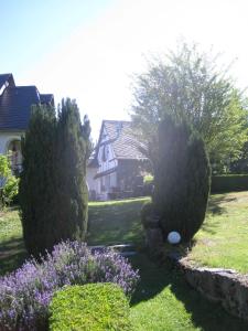 B&B / Chambre d'hôtes Romantikmühle Heartlandranch Weylandsmühle 1 55483 Krummenau Rhénanie-Palatinat