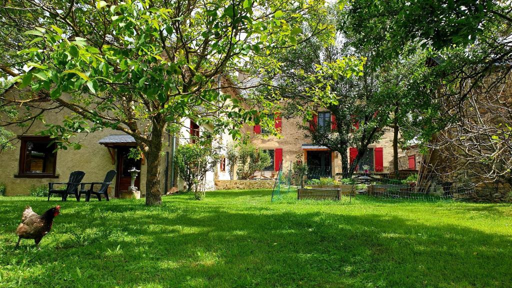 B&B / Chambre d'hôtes ROUET-NATURE.FR - Chambre d'hôtes Champêtre lieu dit Rouet 12800 Tréban