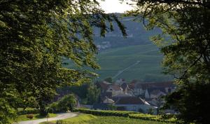 B&B / Chambre d'hôtes Roulotte la Dominique Rue des Grappes d'Or 51480 Romery Champagne-Ardenne