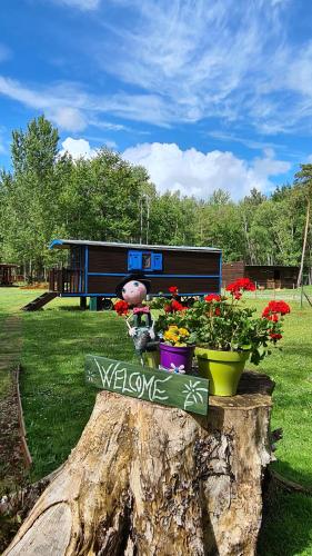 Roulottes du Chalet des Pins