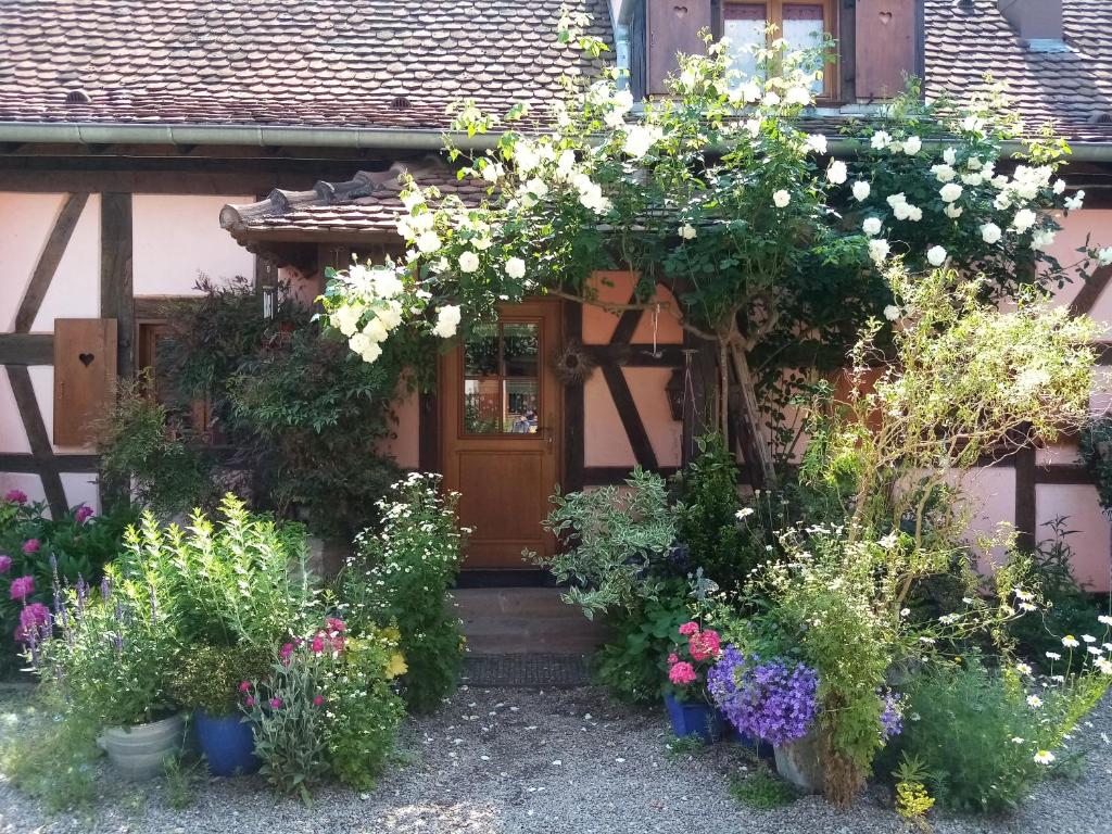 B&B / Chambre d'hôtes S'hissele 36 Rue Croisée 67600 Hilsenheim