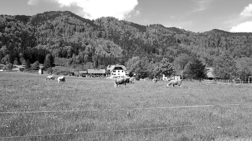 s´Quartier am Schliersee